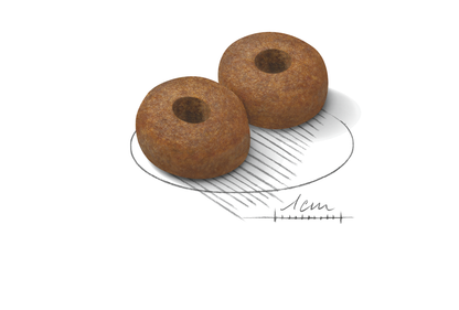 Royal Canin MAXI Ageing 8+ Ageing Torrfoder för hund