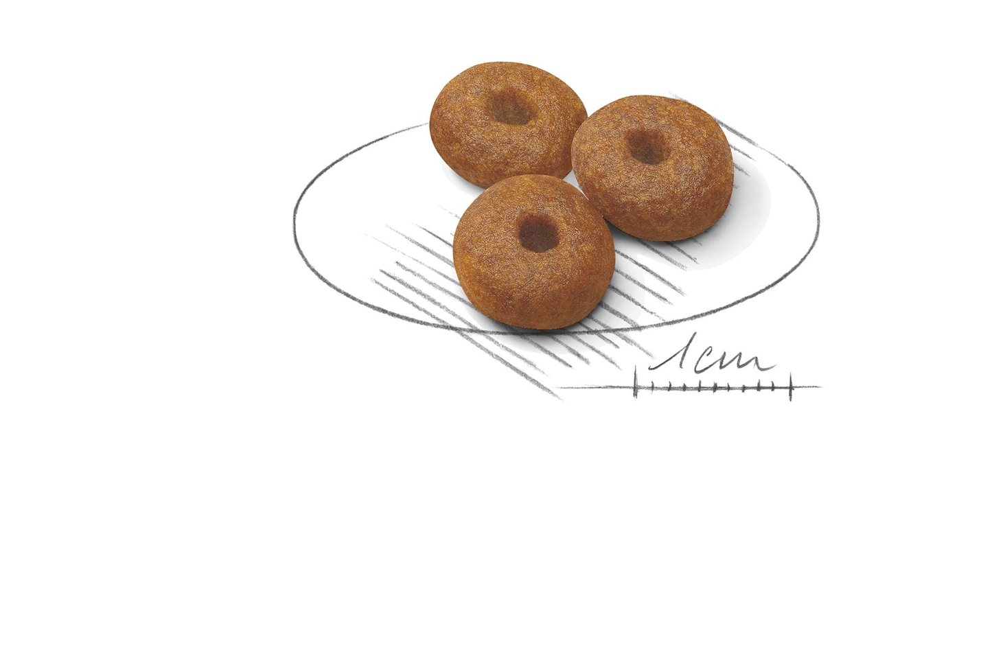 Royal Canin Maxi Starter Torrfoder för hundvalp