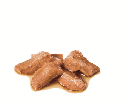 Royal Canin Maine Coon Adult Våtfoder för katt