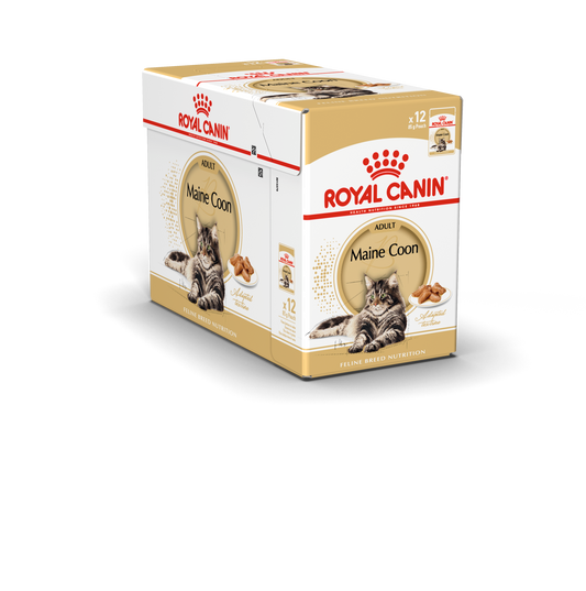 Royal Canin Maine Coon Adult Våtfoder för katt