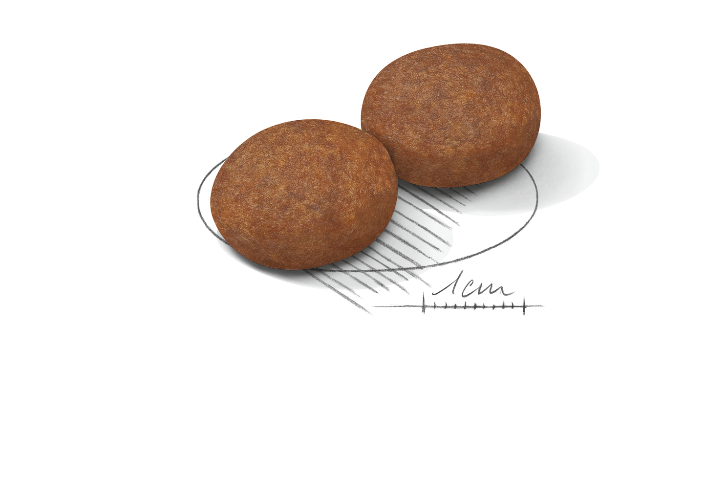 Royal Canin MEDIUM 7+ Ageing Torrfoder för hund