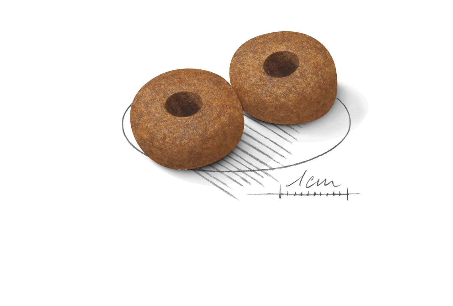 Royal Canin MEDIUM Ageing 10+ Ageing Torrfoder för hund