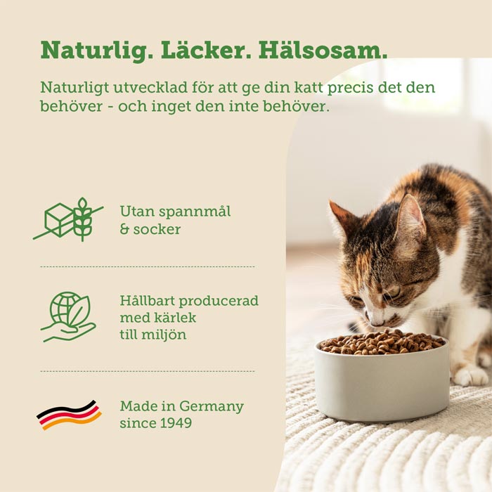 mera Cats Nature adult Chicken