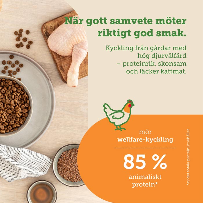 mera Cats Nature adult Chicken