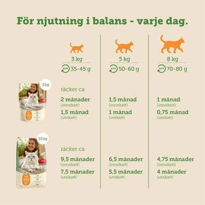 mera Cats Nature adult Chicken