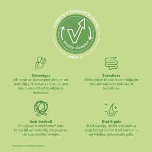 mera Cats Nature adult Salmon