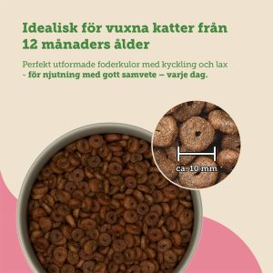 mera Cats Nature adult Salmon