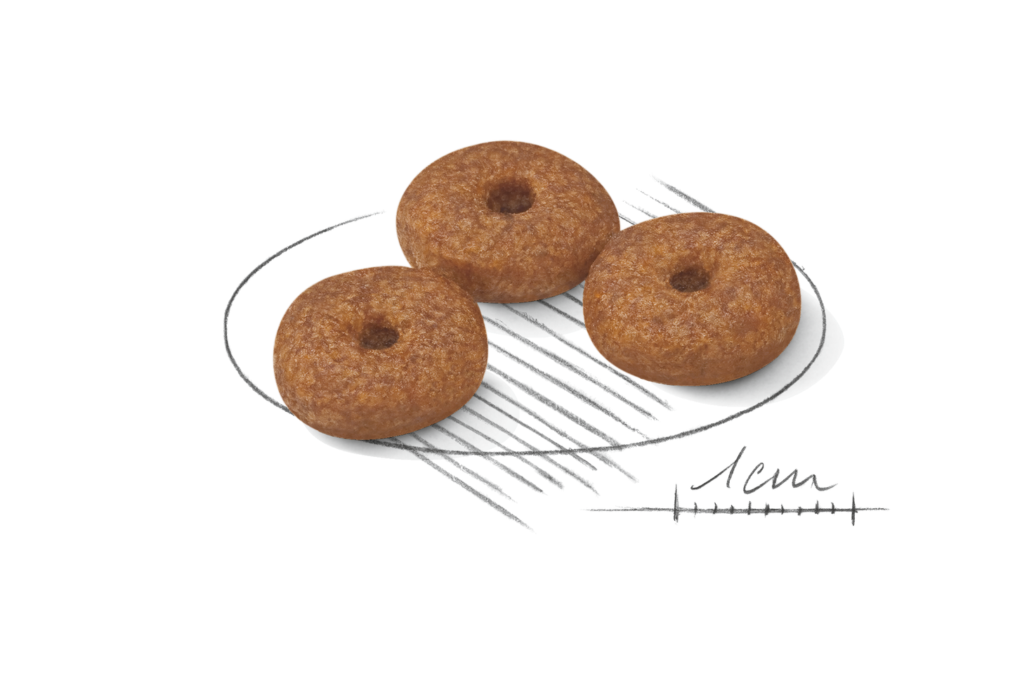 Royal  Canin MINI Ageing 12+ Ageing Torrfoder för hund