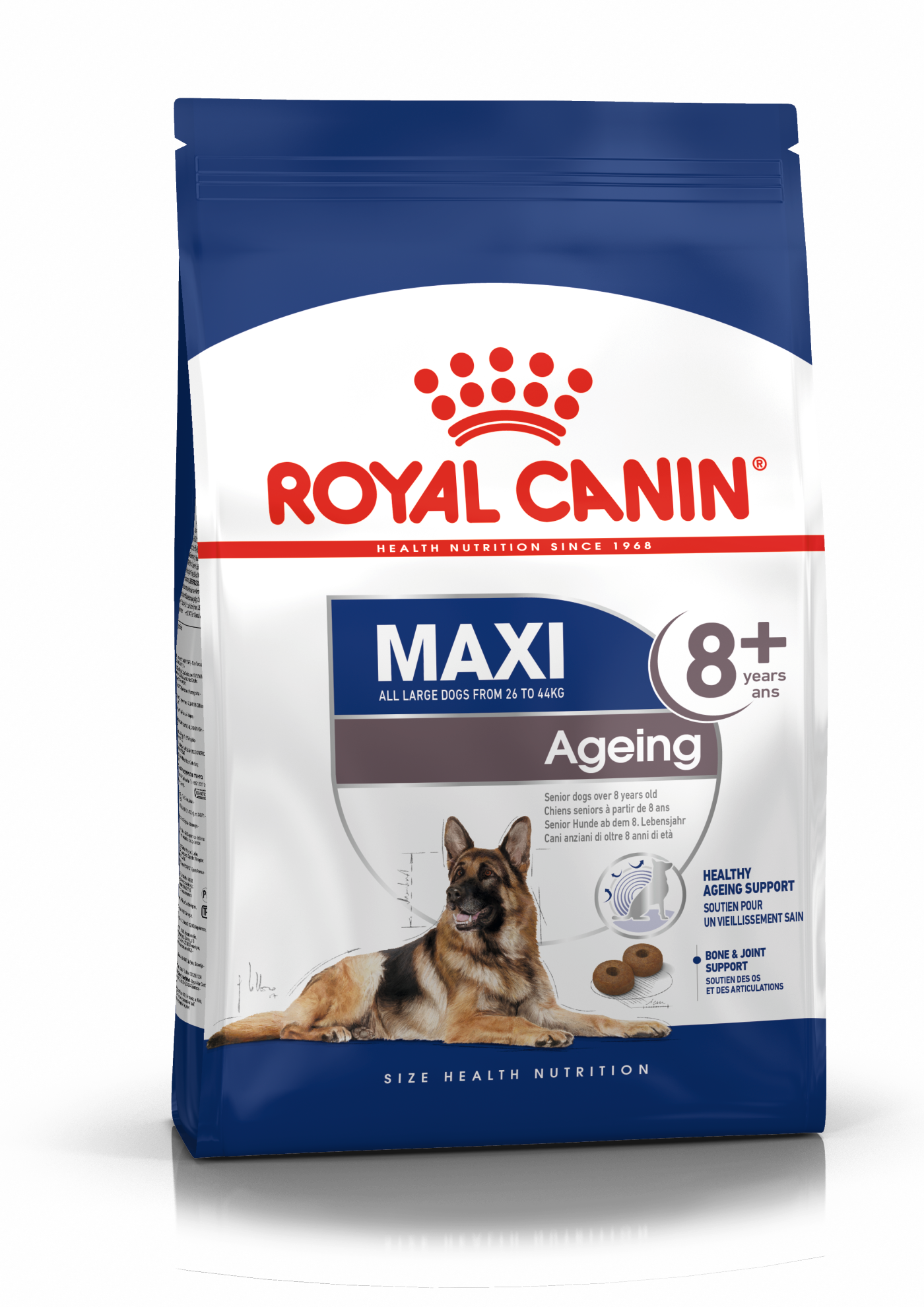 Royal Canin MAXI Ageing 8+ Ageing Torrfoder för hund