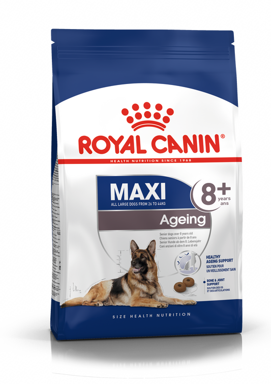 Royal Canin MAXI Ageing 8+ Ageing Torrfoder för hund