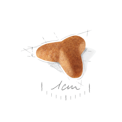 Royal Canin Pug Puppy Torrfoder för hundvalp