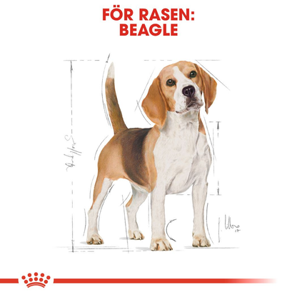 Royal Canin Beagle Adult Torrfoder för hund
