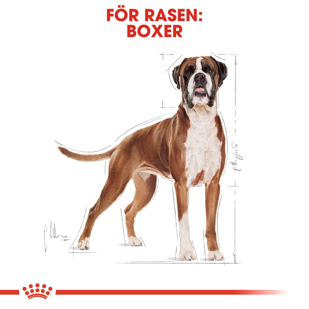 Royal Canin Boxer Adult Torrfoder för hund