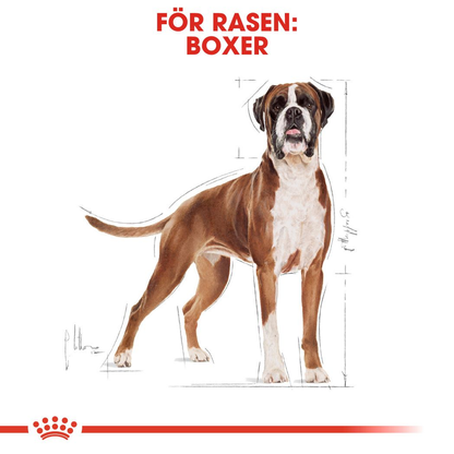 Royal Canin Boxer Adult Torrfoder för hund