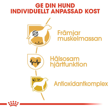 Royal Canin Boxer Adult Torrfoder för hund