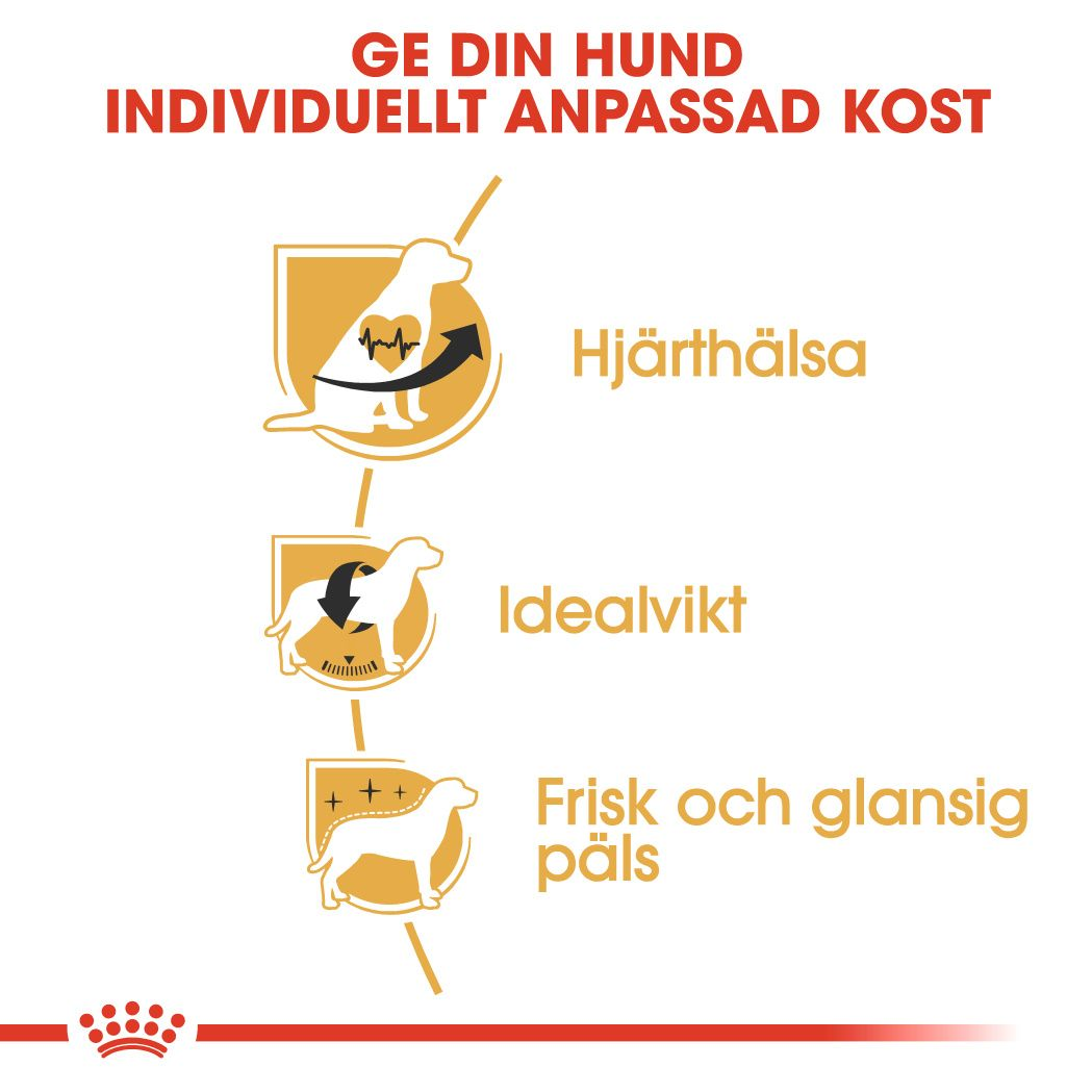 Royal Canin Cavalier King Charles Adult Torrfoder för hund
