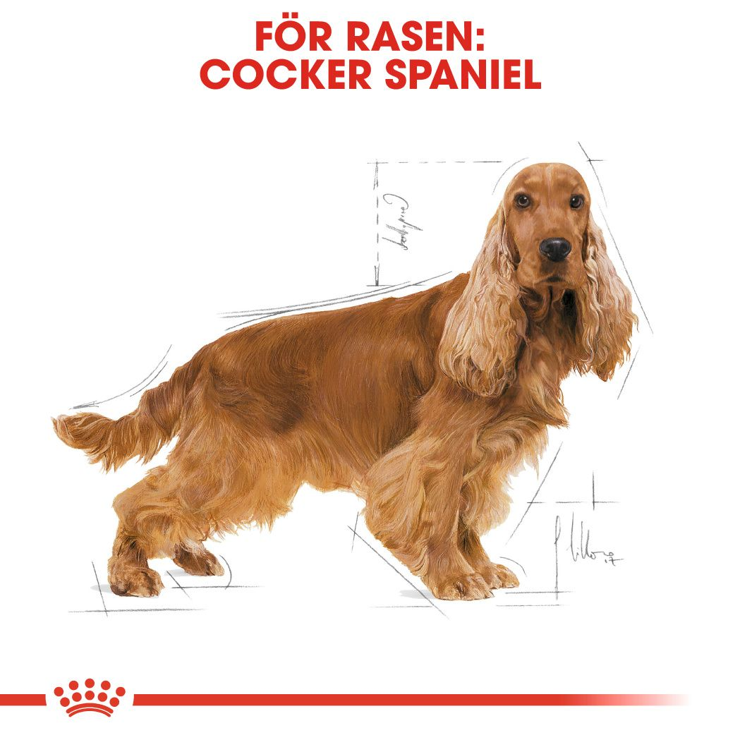 Royal Canin Cocker Adult Torrfoder för hund