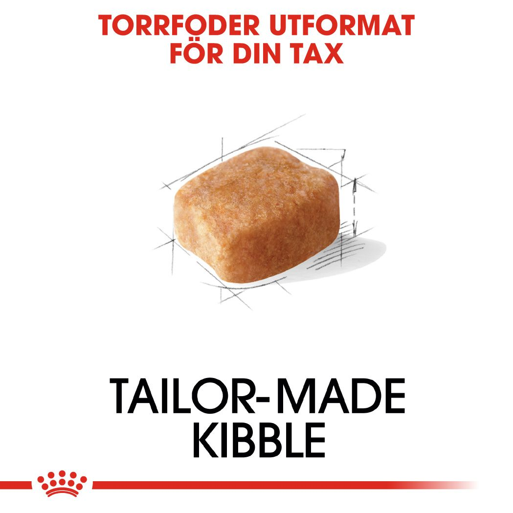 Royal Canin Dachshund Adult Torrfoder för hund