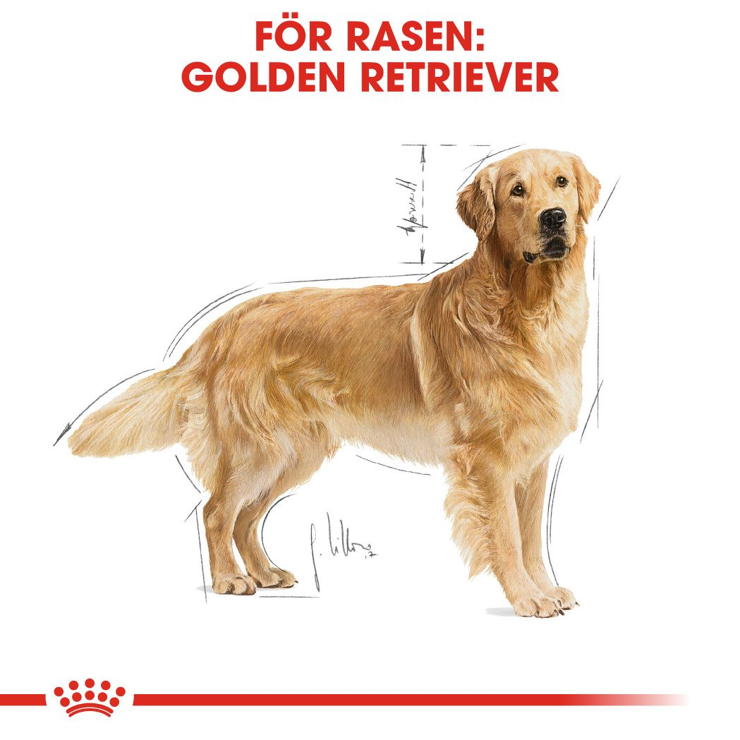 Royal Canin Golden Retriever Adult Torrfoder för hund