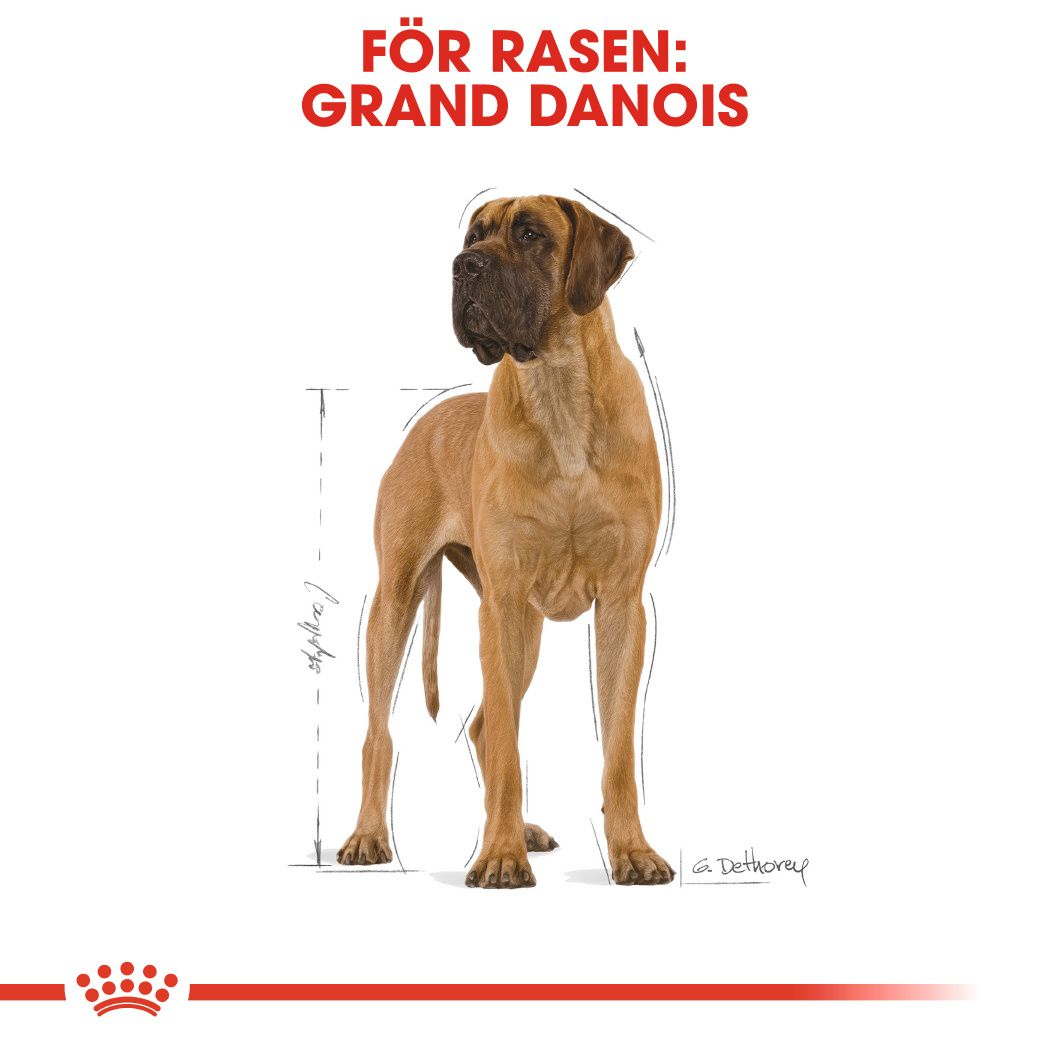 Royal Canin Great Dane Adult Torrfoder för hund