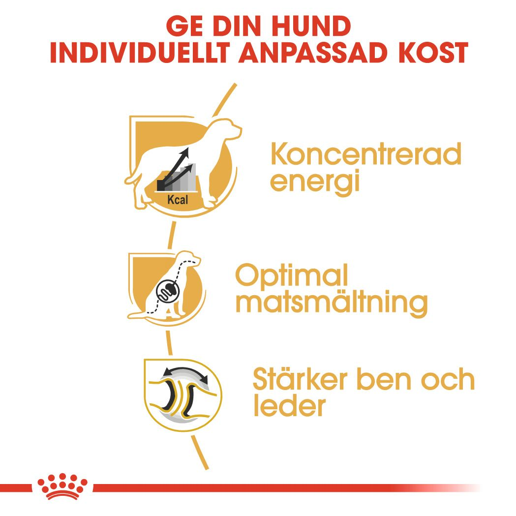 Royal Canin Great Dane Adult Torrfoder för hund