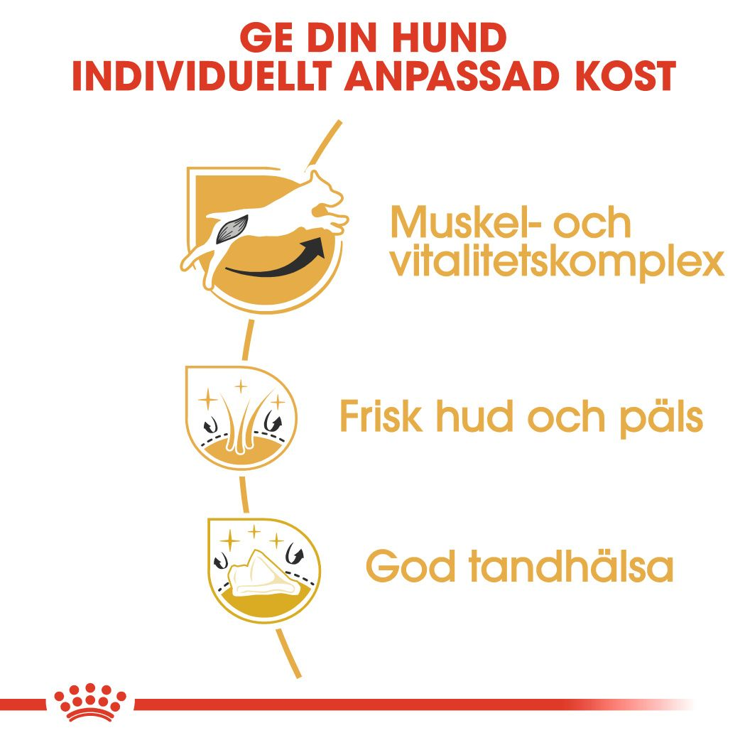 Royal Canin Jack Russel Adult Torrfoder för hund