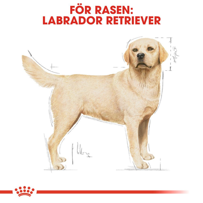 Royal Canin Labrador Retriever Adult Torrfoder för hund