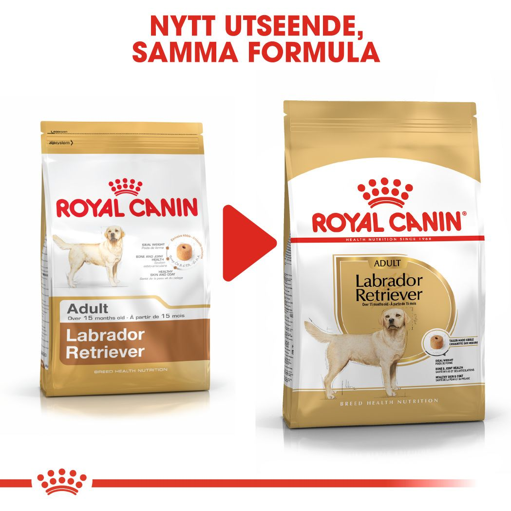 Royal Canin Labrador Retriever Adult Torrfoder för hund