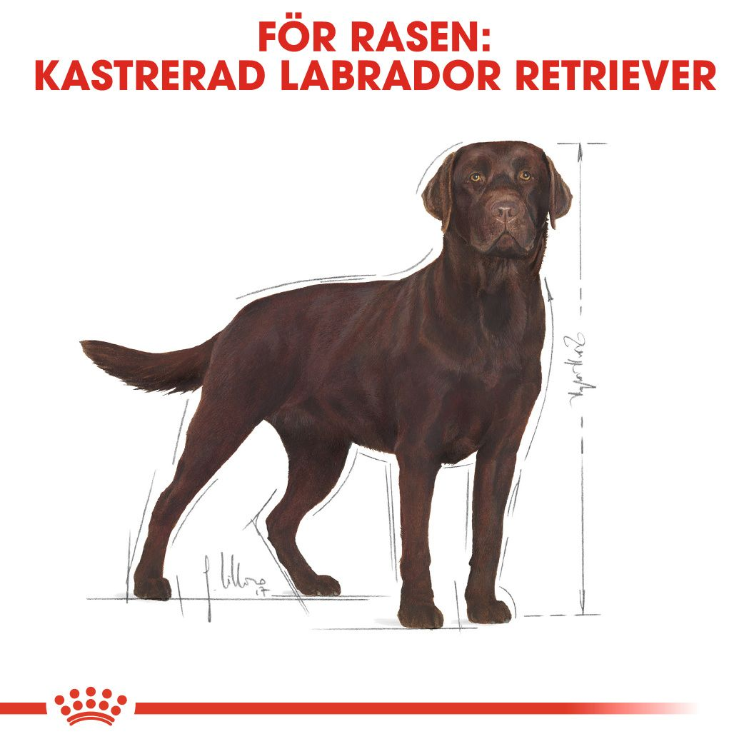 Royal Canin Labrador Retriever Sterilised Adult Torrfoder för hund