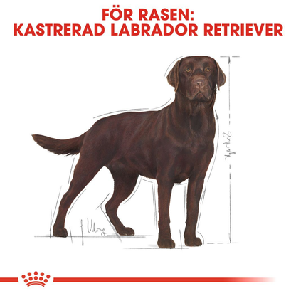 Royal Canin Labrador Retriever Sterilised Adult Torrfoder för hund