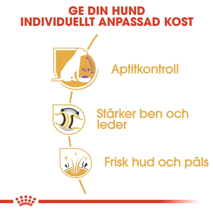 Royal Canin Labrador Retriever Sterilised Adult Torrfoder för hund