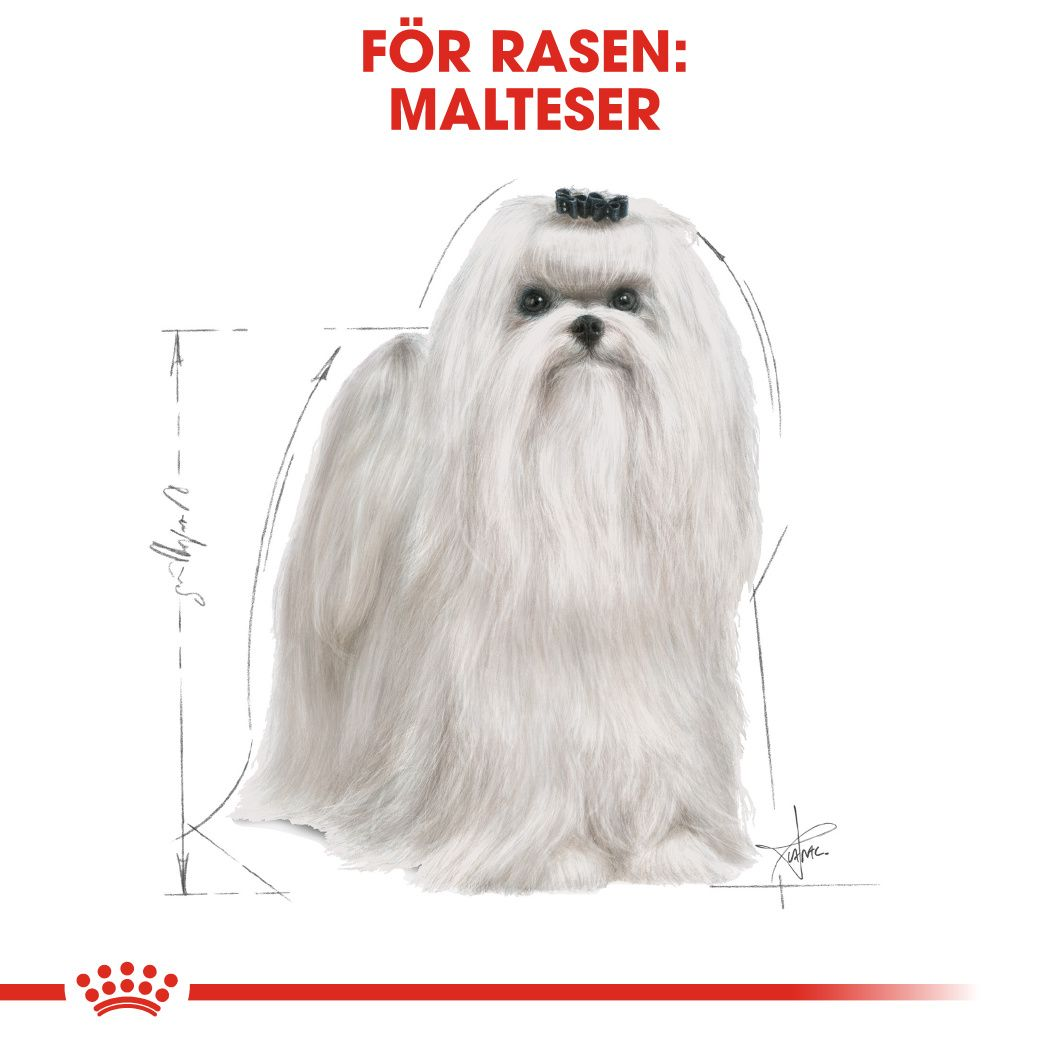 Royal Canin Maltese Adult Torrfoder för hund