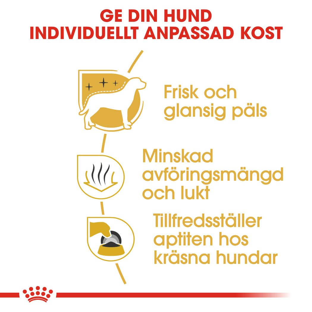 Royal Canin Maltese Adult Torrfoder för hund