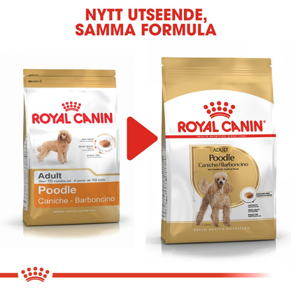 Royal Canin Poodle Adult Torrfoder för hund