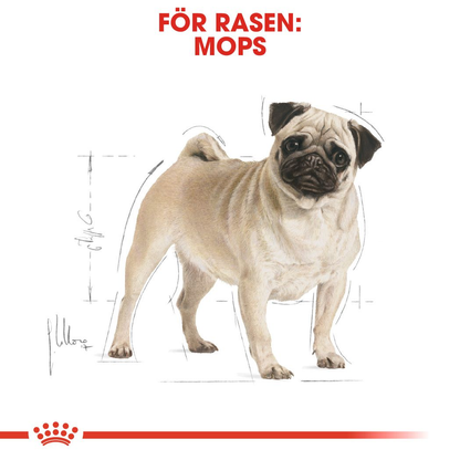 Royal Canin Pug Adult Torrfoder för hund