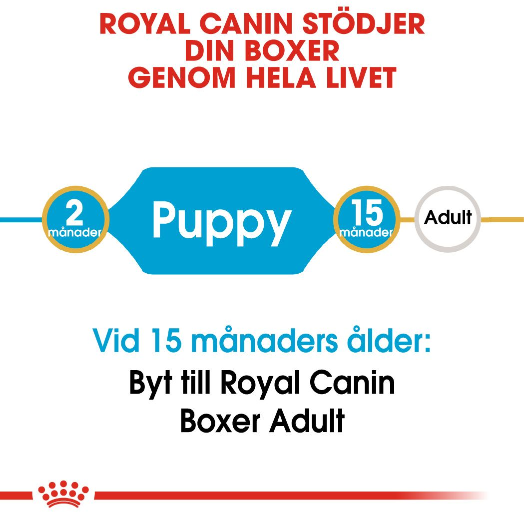 Royal Canin Boxer Puppy Torrfoder för hundvalp