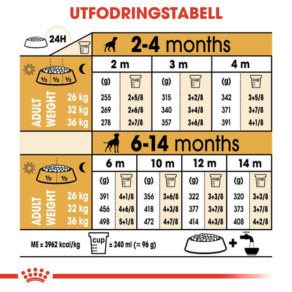 Royal Canin Boxer Puppy Torrfoder för hundvalp