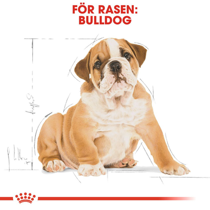 Royal Canin Bulldog Puppy Torrfoder för hundvalp
