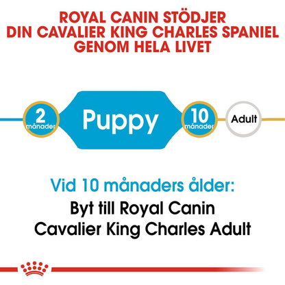 Royal Canin Cavalier King Charles Puppy Torrfoder för hundvalp