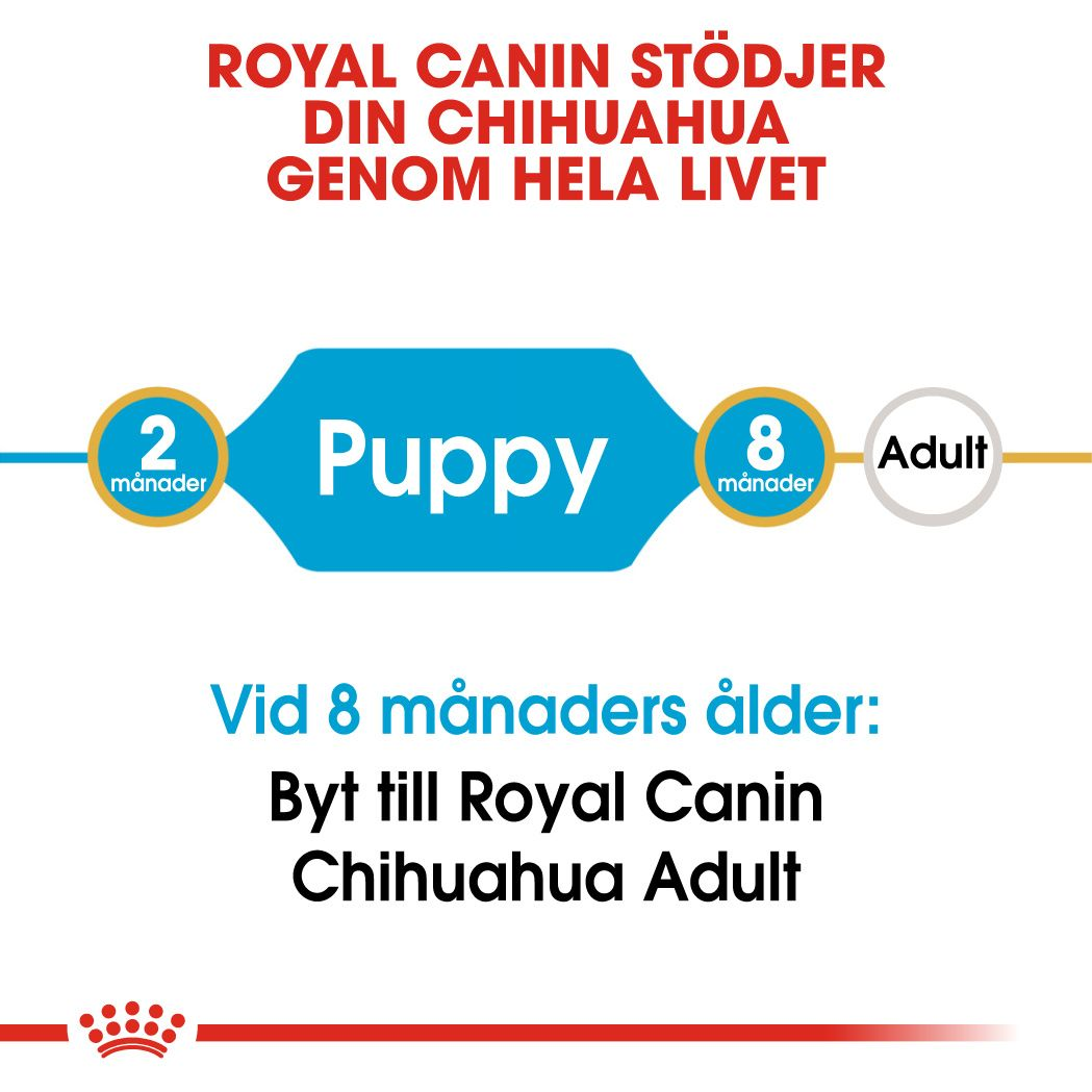 Royal Canin Chihuahua Puppy Torrfoder för hundvalp