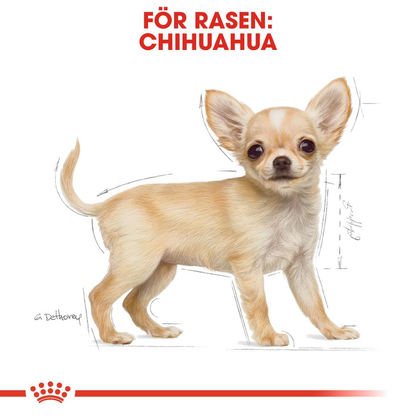 Royal Canin Chihuahua Puppy Torrfoder för hundvalp
