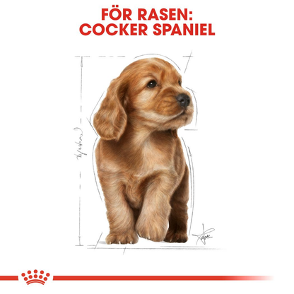 Royal Canin Cocker Puppy Torrfoder för hundvalp