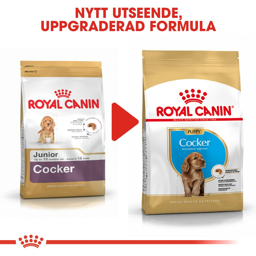 Royal Canin Cocker Puppy Torrfoder för hundvalp