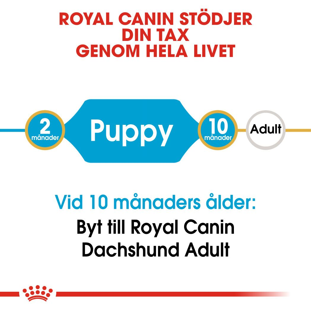 Royal Canin Dachshund Puppy Torrfoder för hundvalp