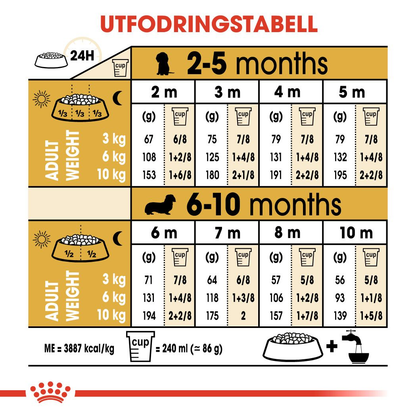 Royal Canin Dachshund Puppy Torrfoder för hundvalp