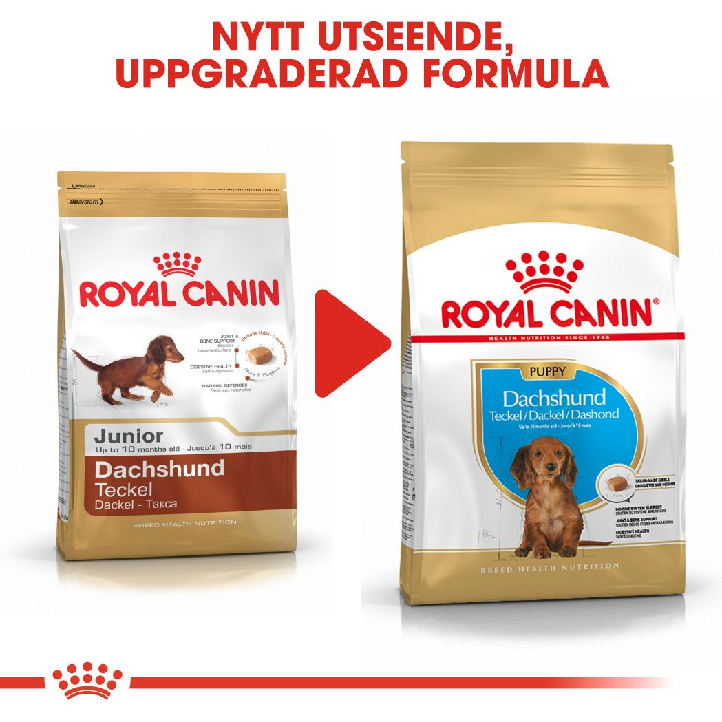 Royal Canin Dachshund Puppy Torrfoder för hundvalp