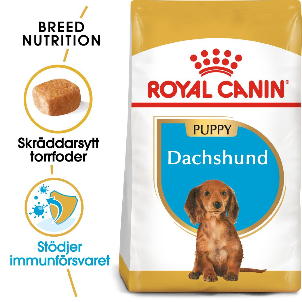 Royal Canin Dachshund Puppy Torrfoder för hundvalp