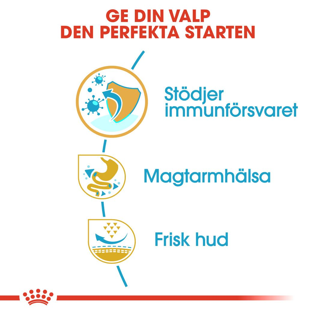 Royal Canin French Bulldog Puppy Torrfoder för hundvalp