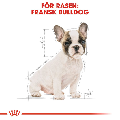 Royal Canin French Bulldog Puppy Torrfoder för hundvalp