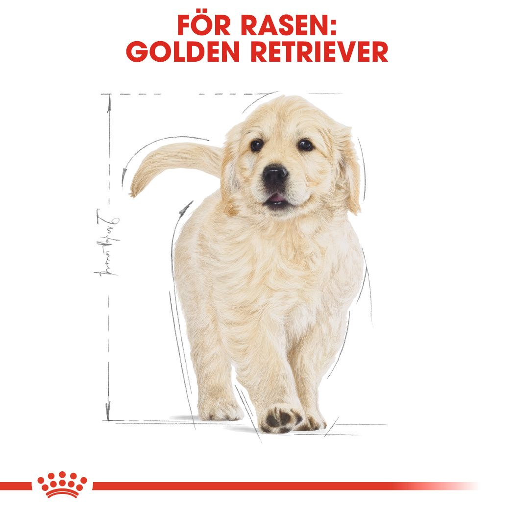 Royal Canin Golden Retriever Puppy Torrfoder för hundvalp
